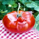 番茄鬼脸