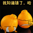 我知道错了 橙子哭泣