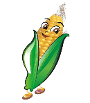 小玉米