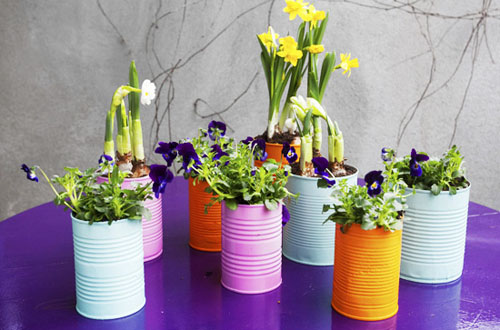 DIY：废旧易拉罐变身美丽的植物花盆