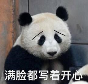 国宝熊猫 满脸写着开心