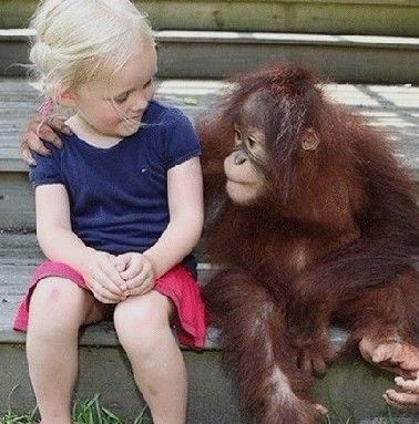 小朋友和猩猩友好的坐在一起