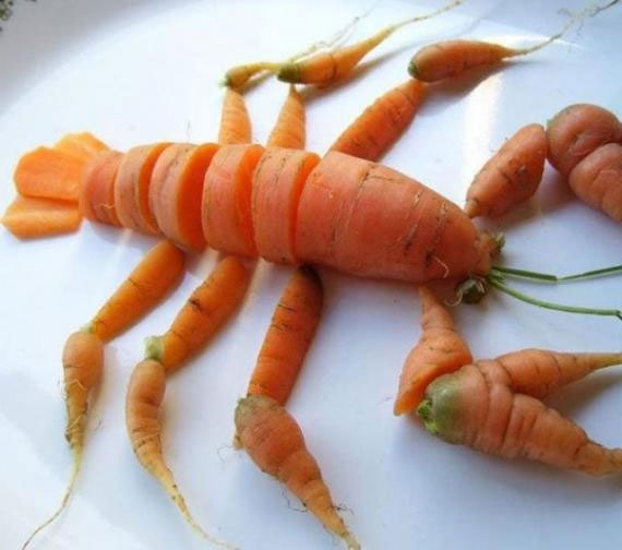 红萝卜拼出来的龙虾