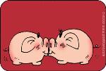 猪之吻
