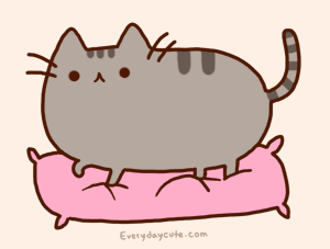 Pusheen猫猫QQ表情，可爱胖胖的猫猫图片