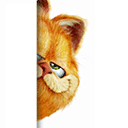 咖啡猫QQ表情，搞笑的加菲猫图片