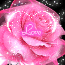 love玫瑰
