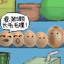 长毛的鸡蛋