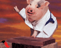 猪猪练铁砂掌