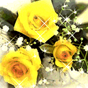 温馨黄玫瑰