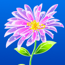 水晶菊花