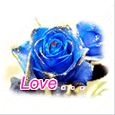 蓝色爱情玫瑰