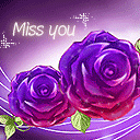 miss you rose
