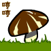 奸笑的小蘑菇