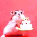 老鼠祝生日