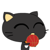 小猫爱红球