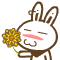 送你一朵花