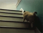 爬楼梯