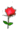 送你一朵玫瑰