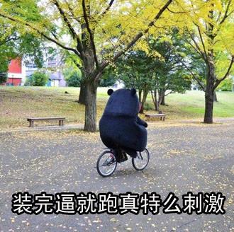 熊本熊骑自行车：装完逼就跑真特么刺激