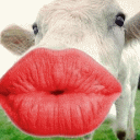 接吻QQ表情图片