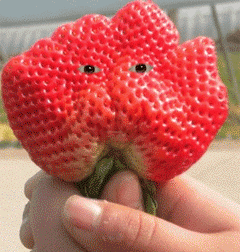 搞怪的草莓表情