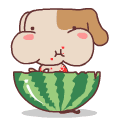 吃西瓜.