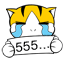 555555