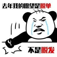 流眼泪熊猫人 愿望是脱单不是脱发