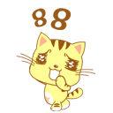 小猫88