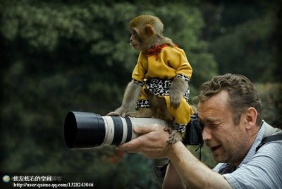站在照相机上面的小猴子