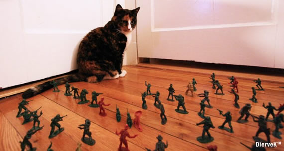 猫咪被玩具战士围攻，躲在墙角不敢动