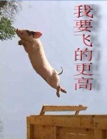 猪猪飞上天，飞得更高