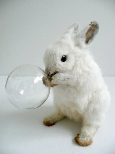 站着吹气球的可爱兔兔