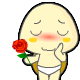 送给你的玫瑰花
