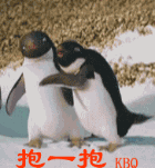 企鹅也想抱一抱