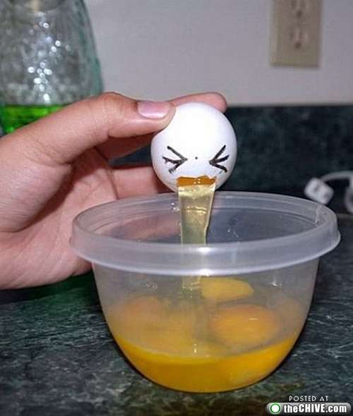 “呕吐”的鸡蛋