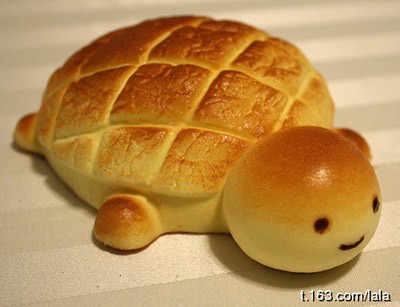 其实我不是乌龟，我是一块面包