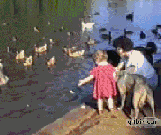 小孩被狗狗撞进了河里