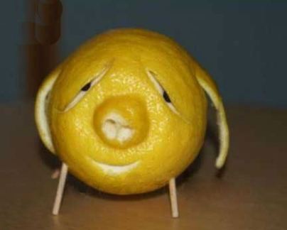 猪头猪耳朵的柚子